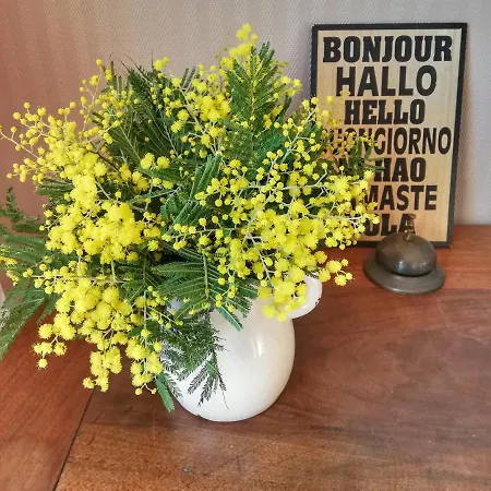 Le Trégonnec Bed & Breakfast Plouvorn